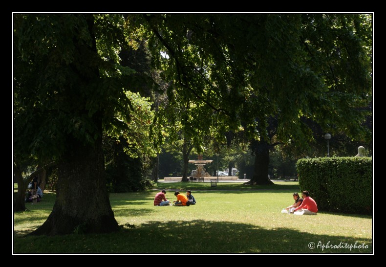 070 Un havre de verdure dans le jardin Anglais